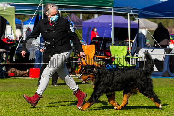 _MG_0865