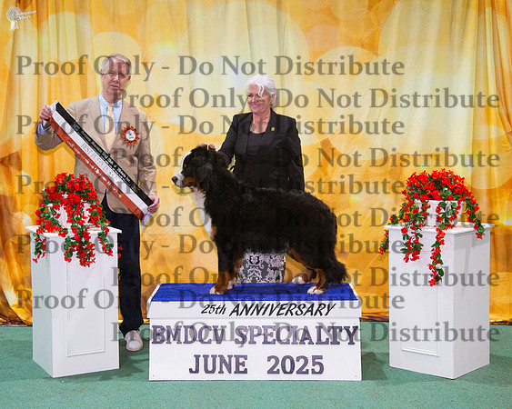 Puppy In Show - Malicloy Xcuses Xcuses