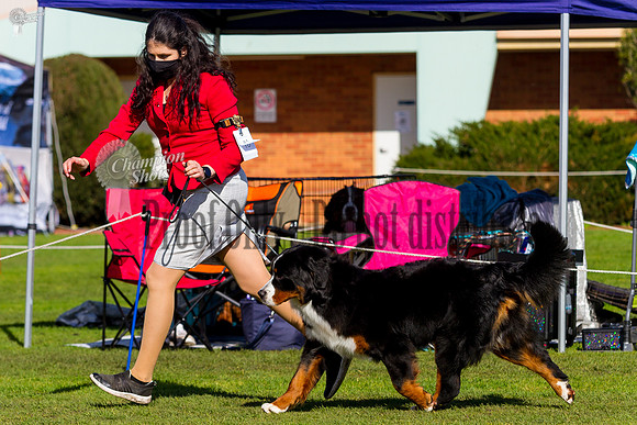 _MG_0604
