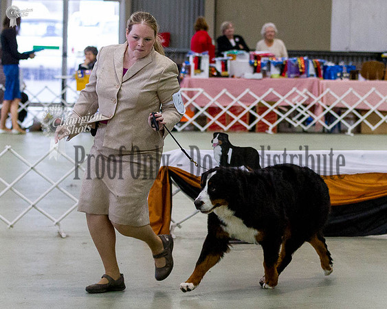 _MG_0647