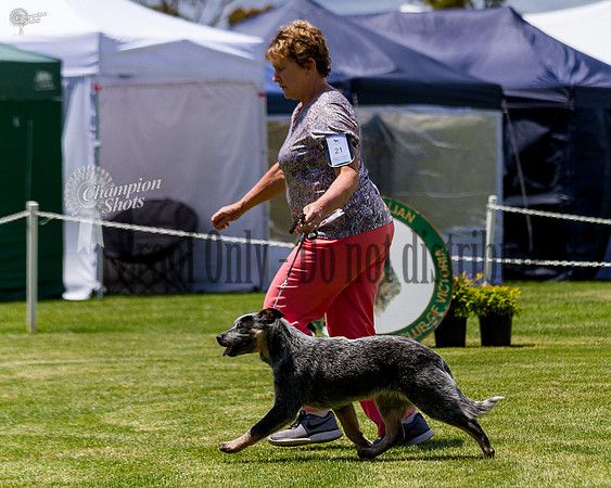 _MG_1446