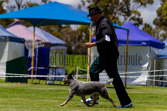 _MG_1510
