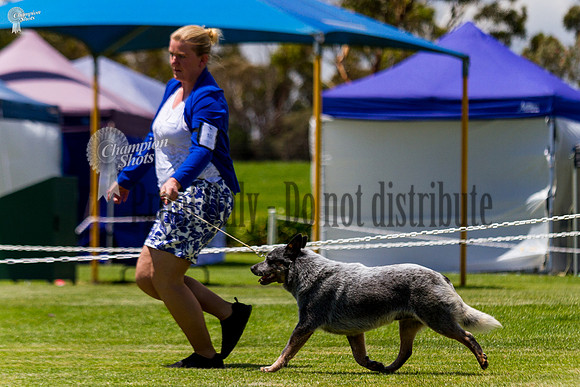 _MG_1060