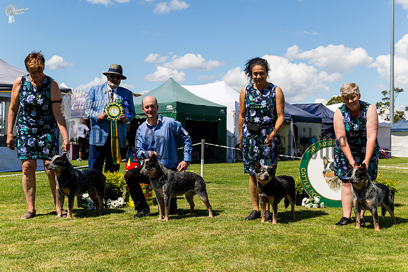 0T6A0891