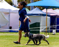 _MG_0826