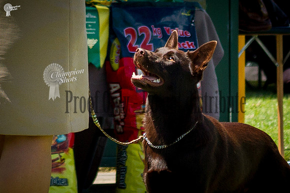 _MG_2202