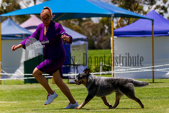 _MG_1124