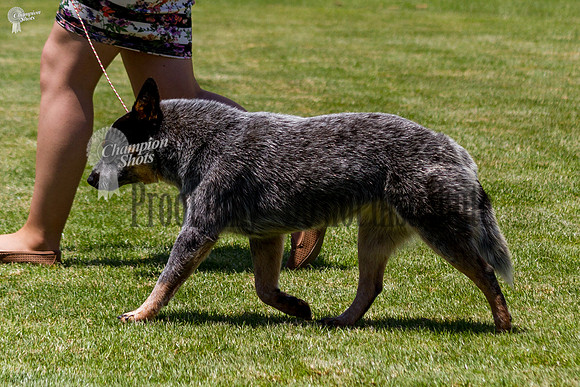 _MG_1663