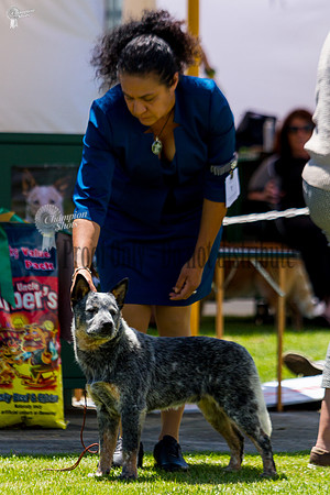 _MG_0880