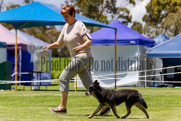 _MG_1710