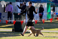 Junior Kennel Club of NSW