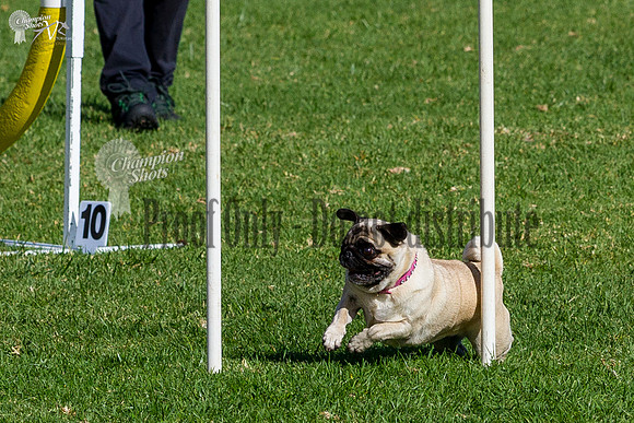 _MG_1352-2