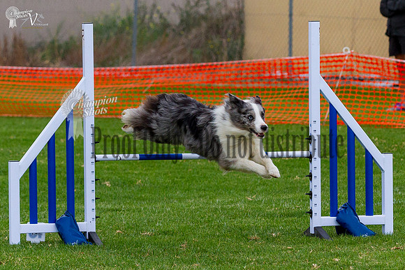 _MG_0411