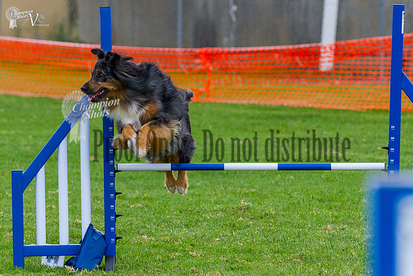 _MG_0364