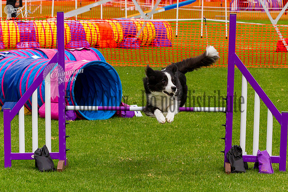 _MG_0583