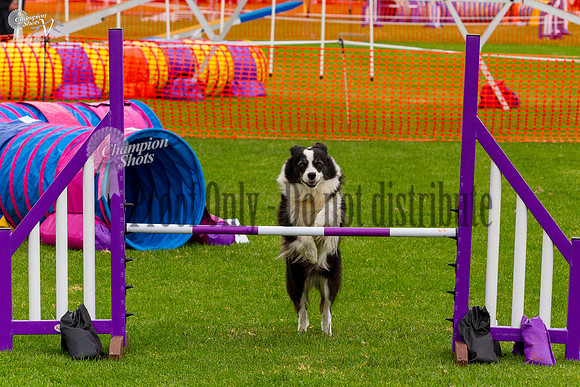 _MG_0566