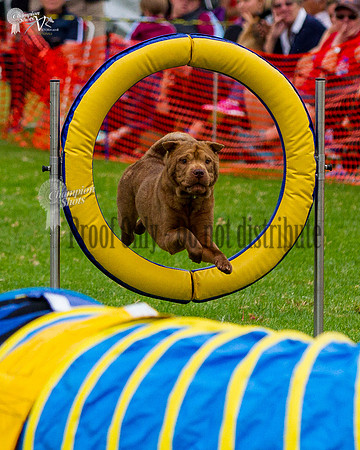 _MG_0107