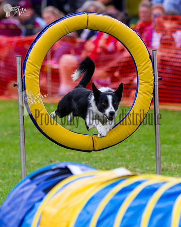 _MG_0031