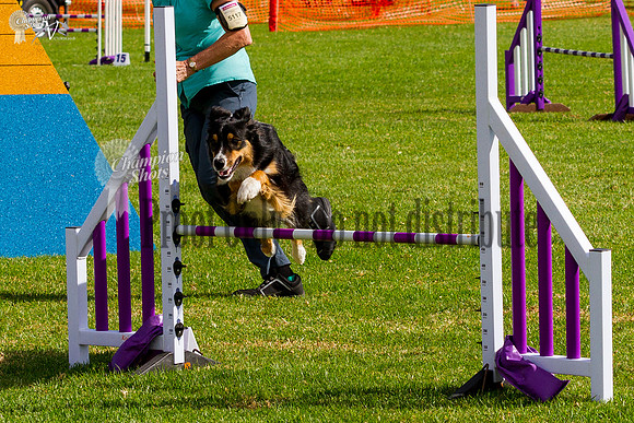 _MG_1275