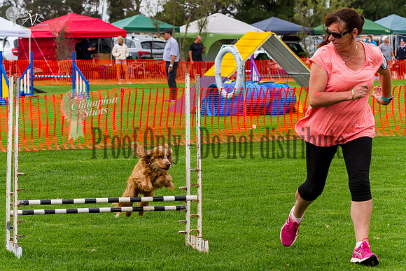 _MG_0561