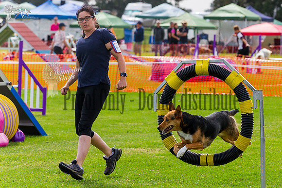 _MG_0837