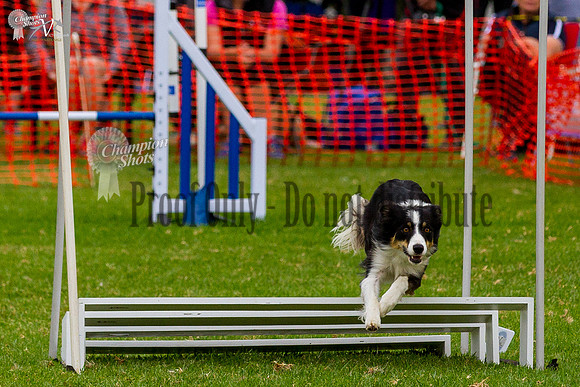 _MG_9705