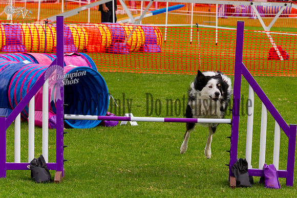 _MG_0663