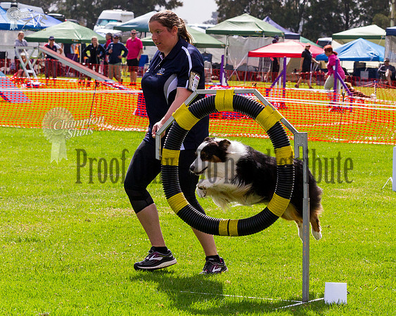 _MG_0805