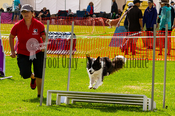 _MG_0858