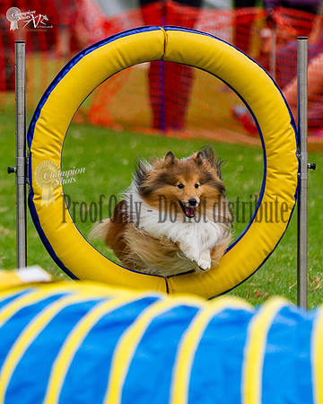 _MG_0207