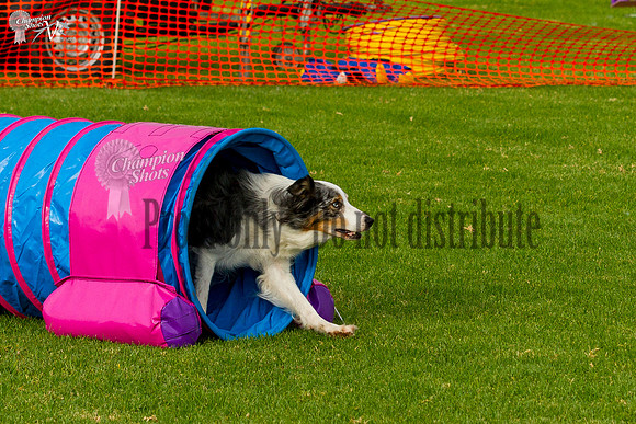 _MG_8325