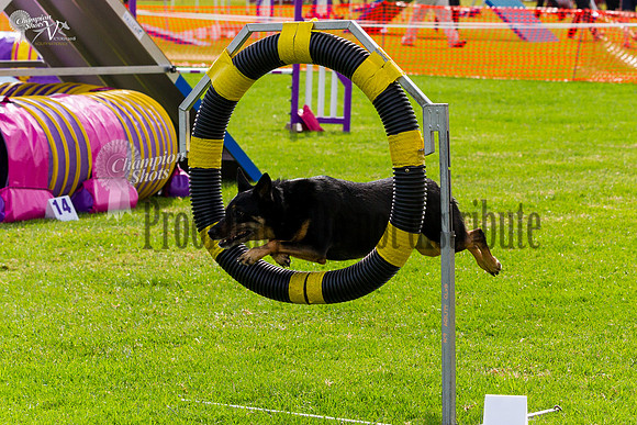 _MG_0875