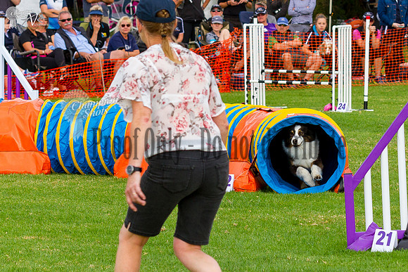 _MG_8798