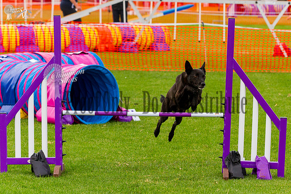 _MG_0620