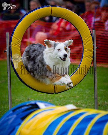 _MG_0013