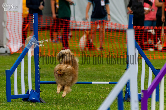 _MG_0149
