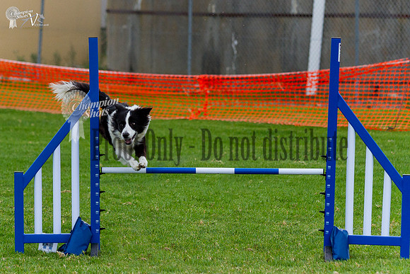 _MG_0347-Edit