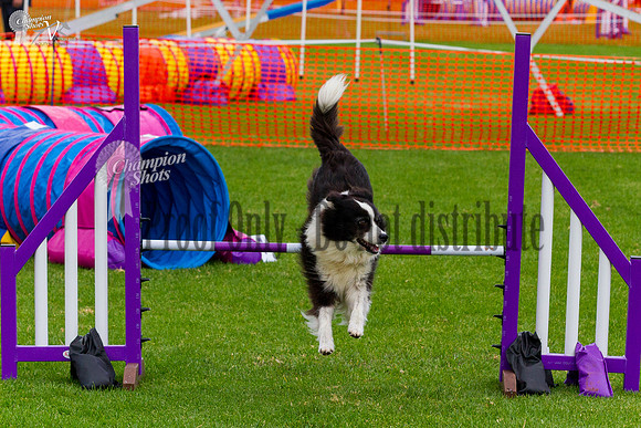 _MG_0568