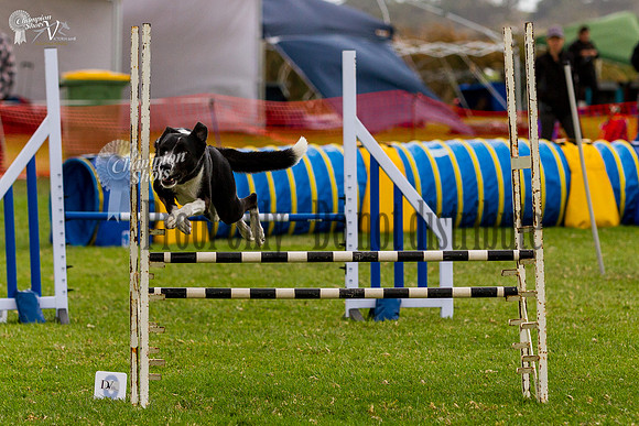 _MG_6096