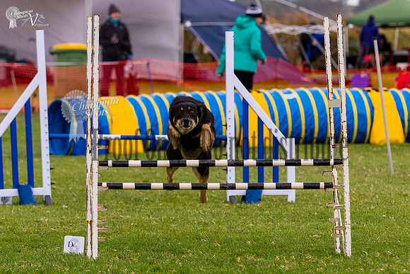 _MG_6053