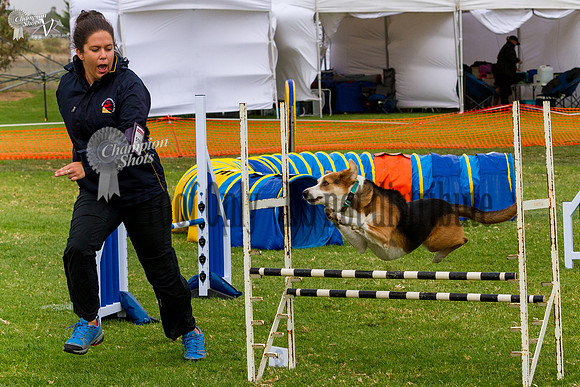 _MG_6176