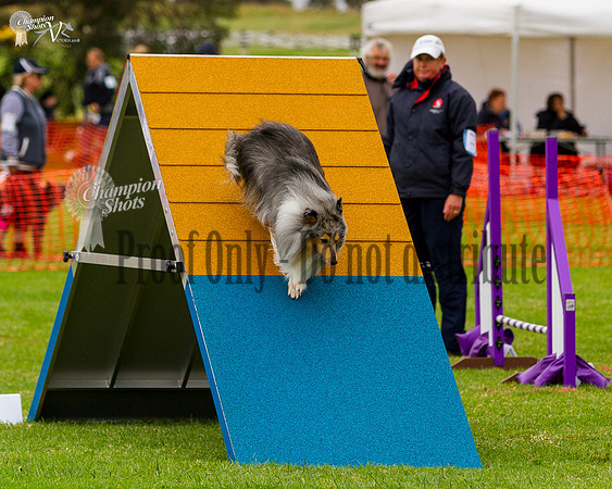 _MG_5866