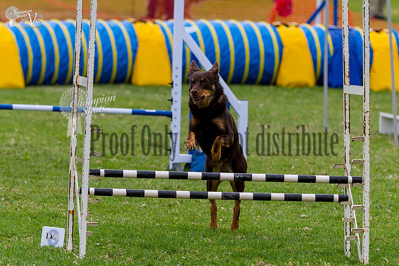 _MG_5822