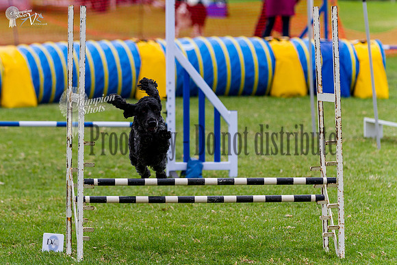 _MG_5848