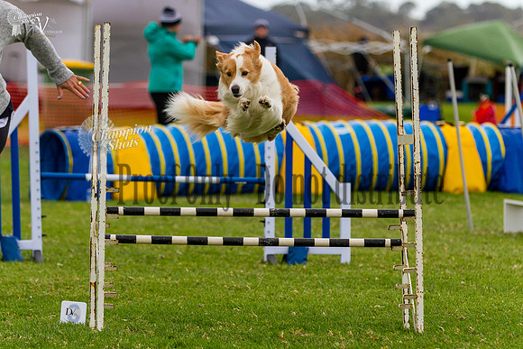 _MG_6086