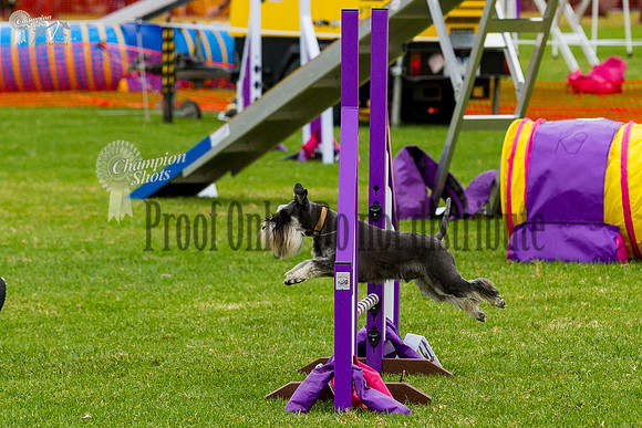 _MG_5919