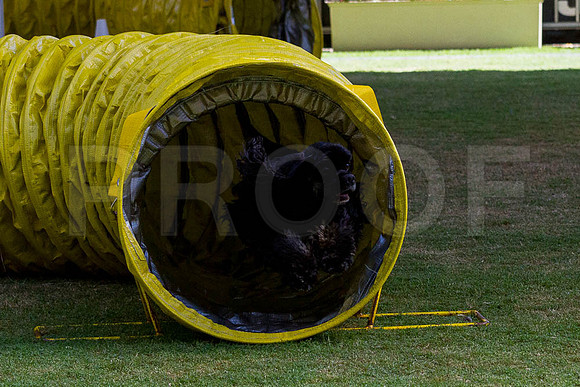 _MG_9057