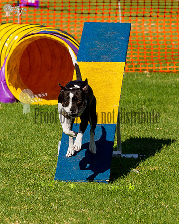 _MG_3671