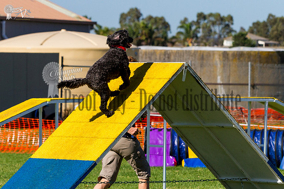 _MG_3550