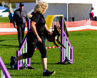 _MG_2848